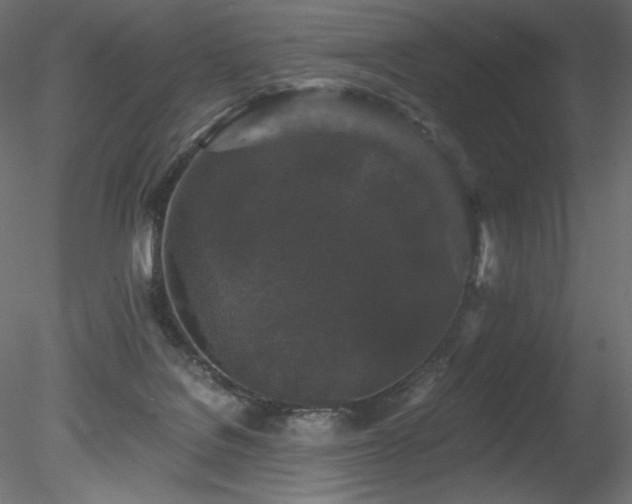 X0000078280076200611031219