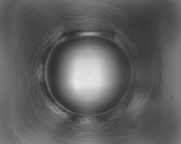 X0000078280077200611031219