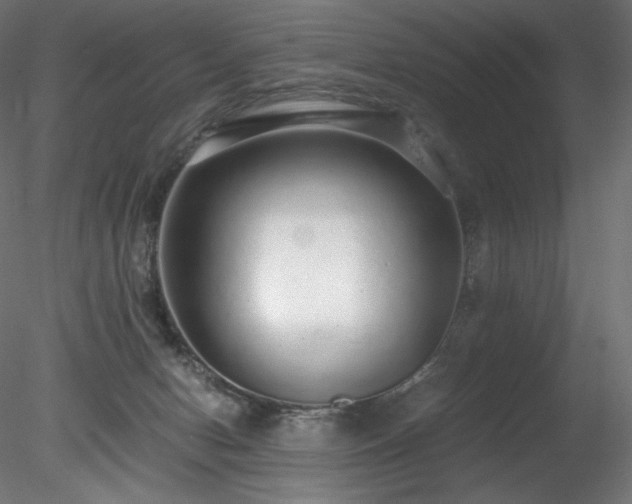 X0000078280078200611031219