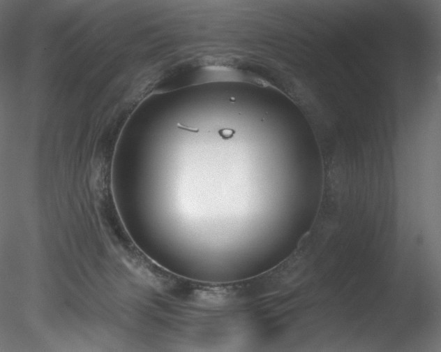 X0000078280079200611031219