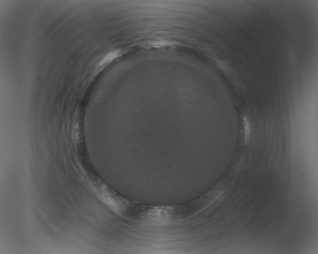 X0000078280080200611031219