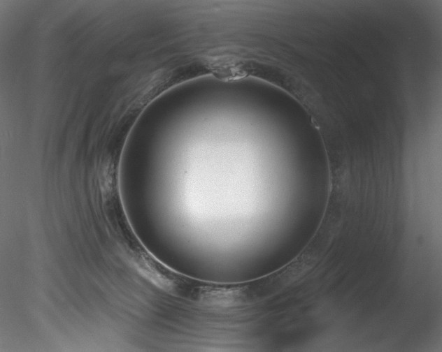 X0000078280081200611031219