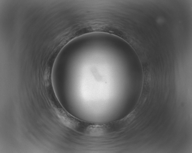 X0000078280082200611031219