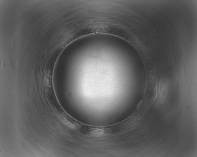 X0000078280083200611031219