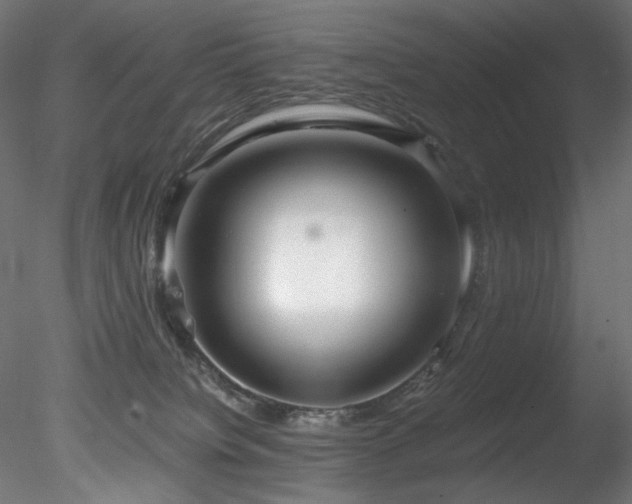 X0000078280084200611031219