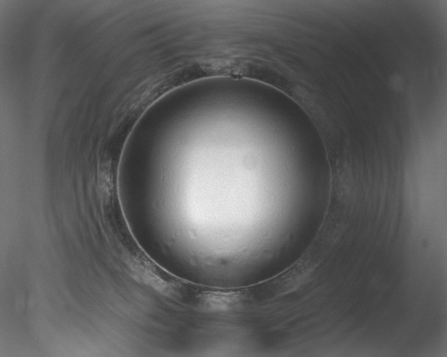 X0000078280085200611031219