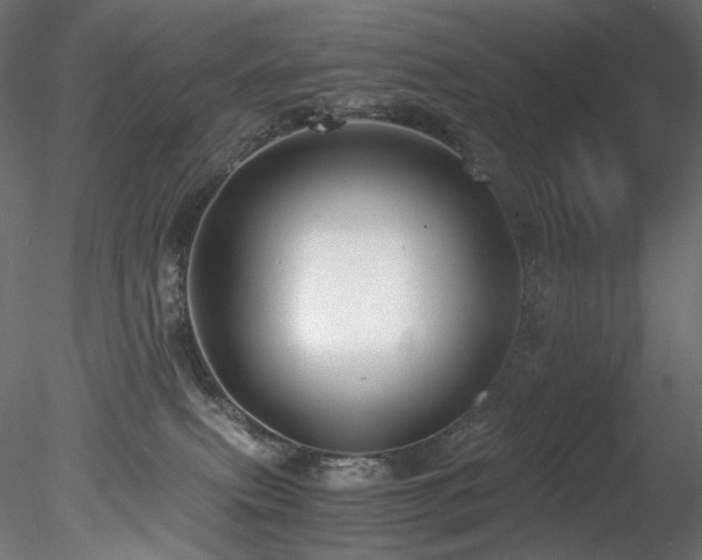 X0000078280087200611031219