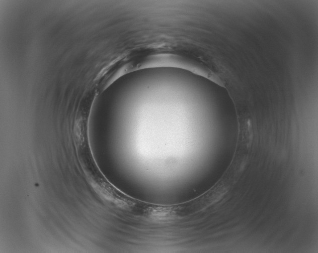 X0000078280088200611031219