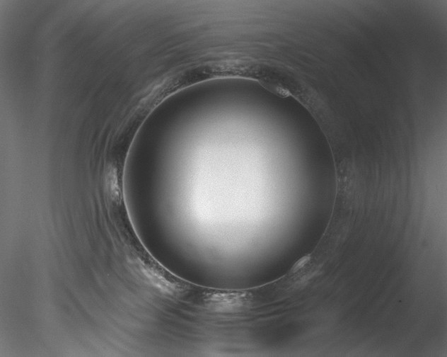 X0000078280089200611031219