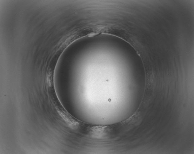 X0000078280090200611031219