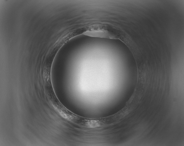 X0000078280091200611031219