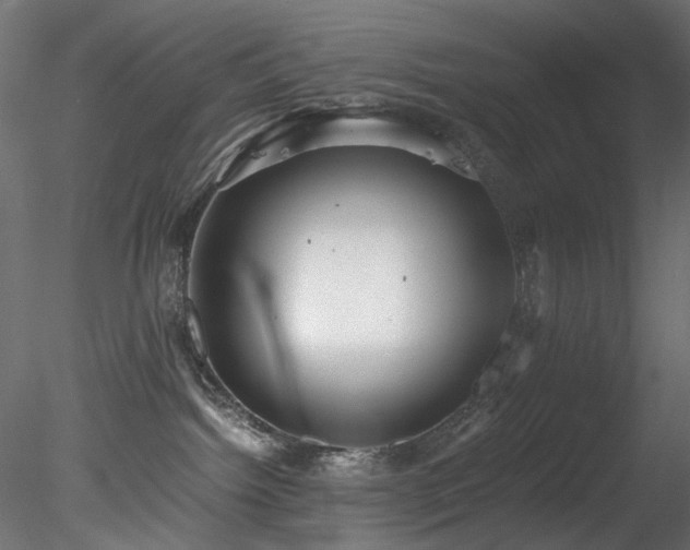 X0000078280092200611031220