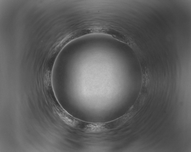 X0000078280093200611031220