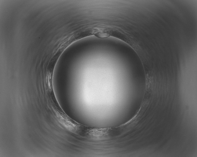 X0000078280094200611031220