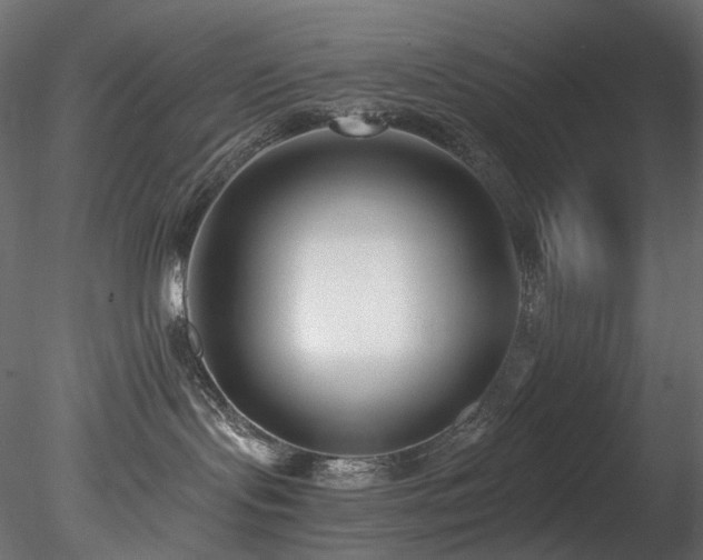 X0000078280095200611031220