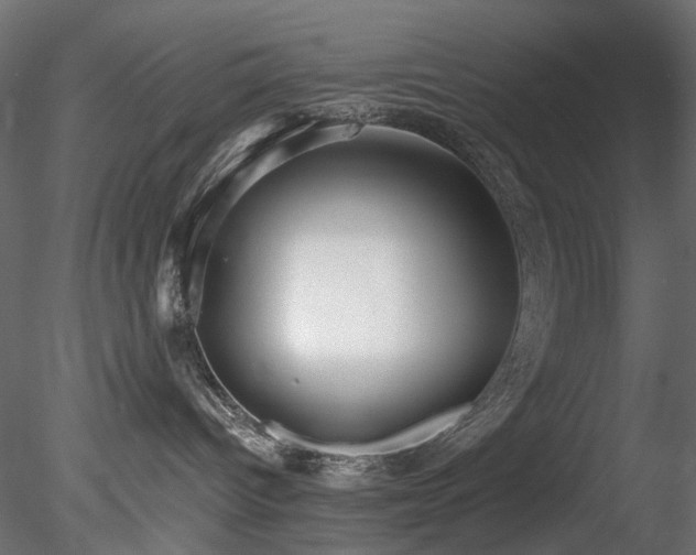 X0000078280096200611031220