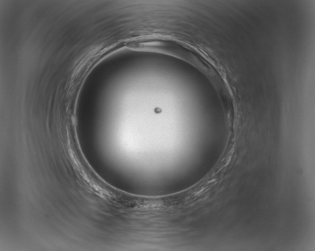 X0000078280097200611031219