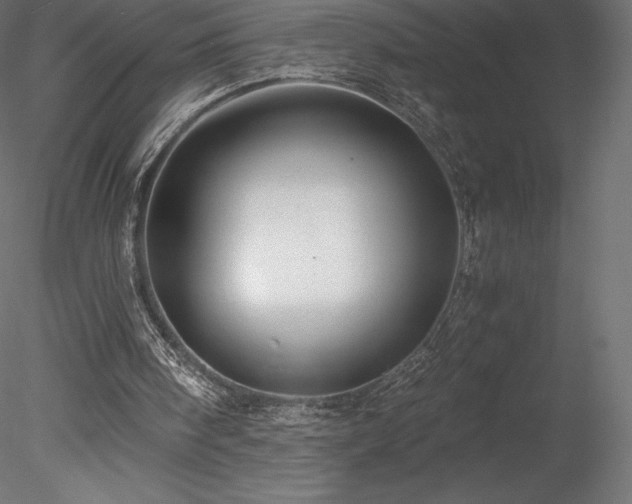 X0000078280098200611031219