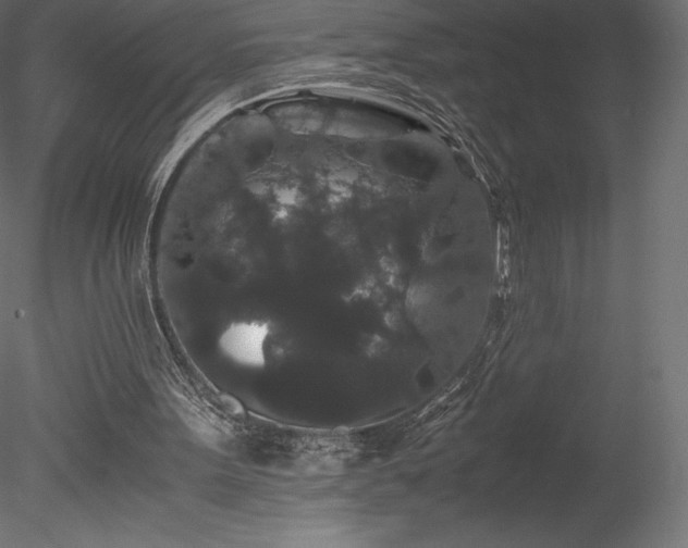 X0000078280099200611031219