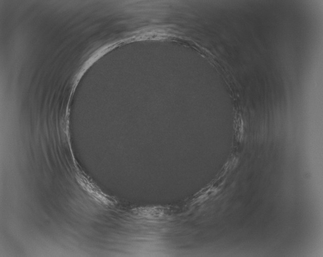 X0000078280100200611031219