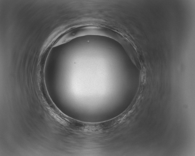 X0000078280101200611031219