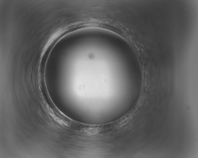 X0000078280102200611031219