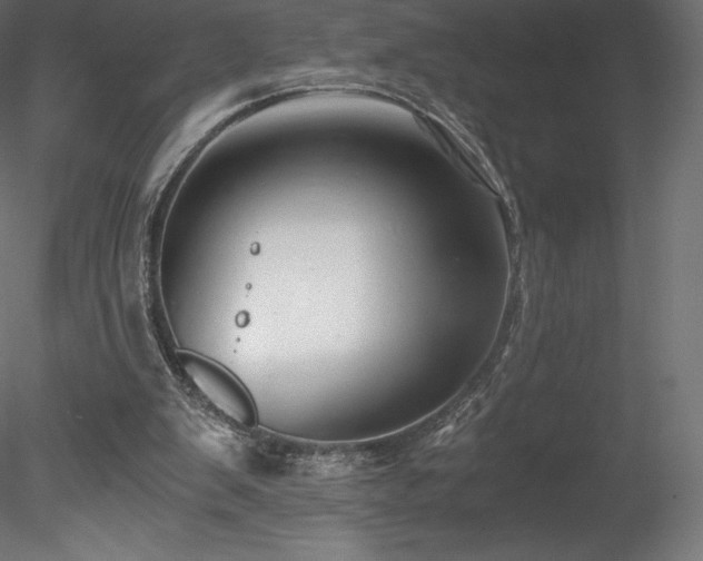 X0000078280103200611031219