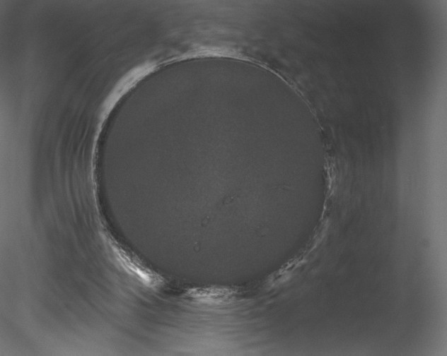 X0000078280104200611031219