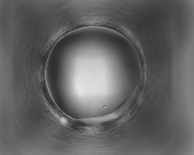 X0000078280105200611031219