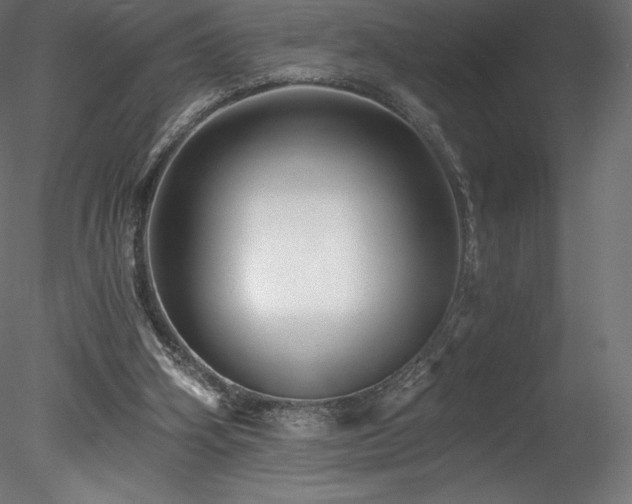 X0000078280106200611031219