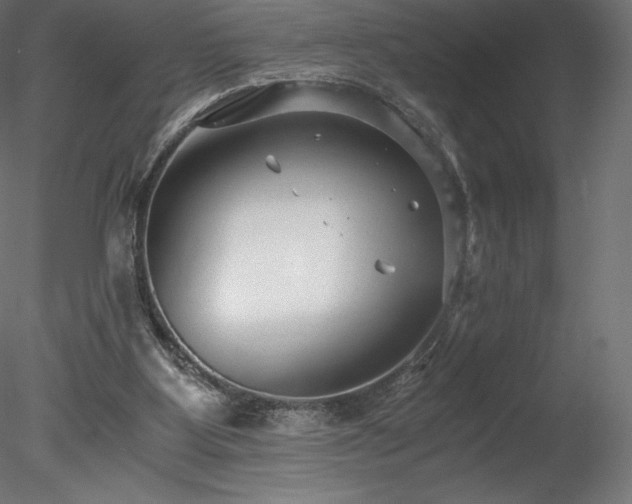 X0000078280107200611031219