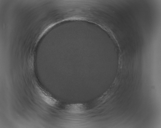 X0000078280108200611031219