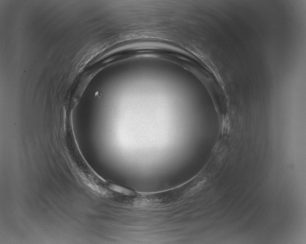 X0000078280109200611031219