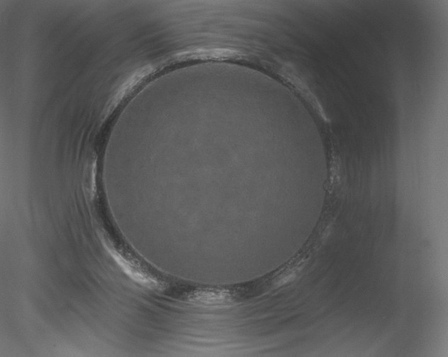 X0000078280110200611031219