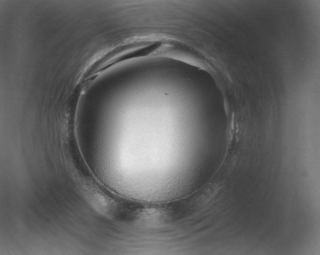 X0000078280111200611031219