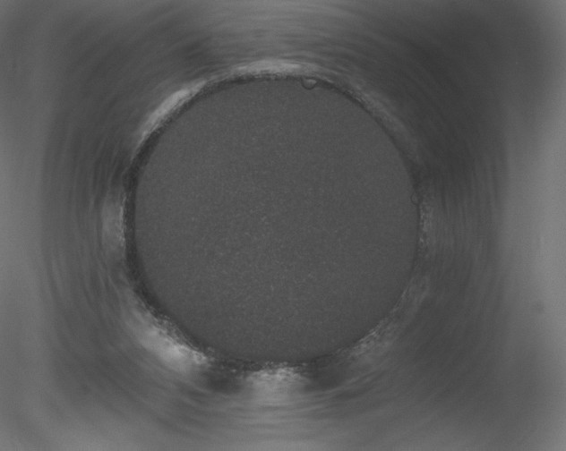 X0000078280112200611031219