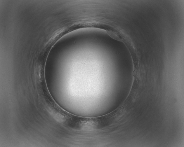 X0000078280115200611031218