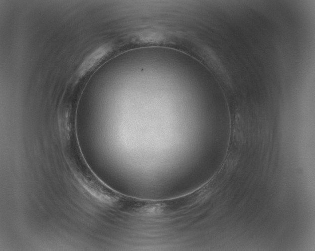 X0000078280116200611031218