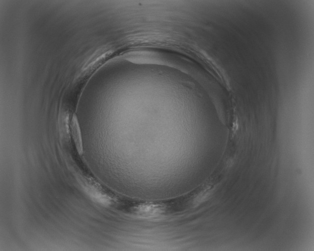 X0000078280117200611031218