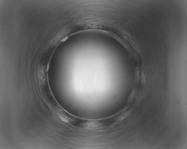 X0000078280121200611031218