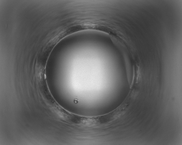 X0000078280125200611031218