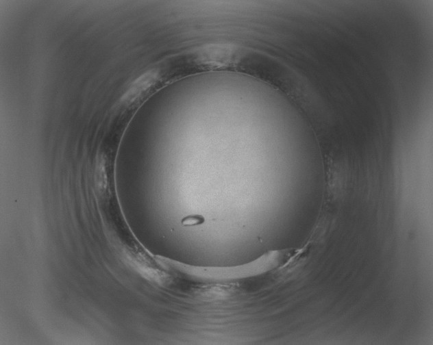 X0000078280128200611031218