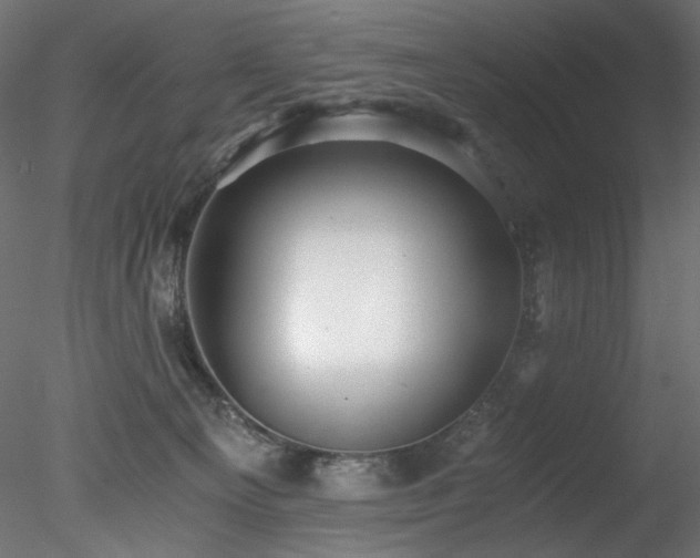 X0000078280129200611031218