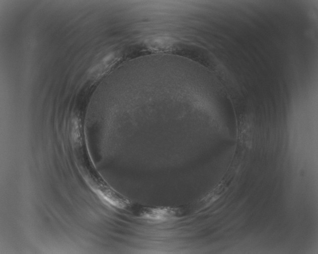 X0000078280130200611031218