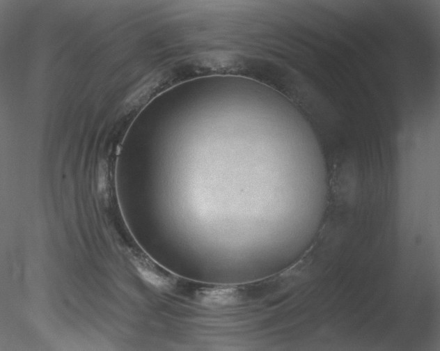 X0000078280132200611031218