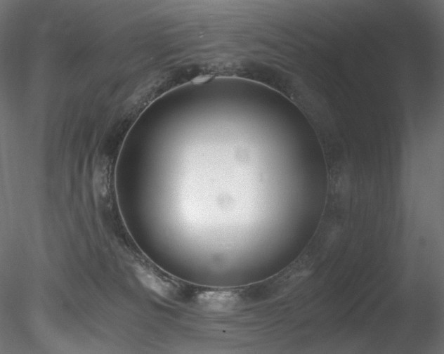 X0000078280133200611031218