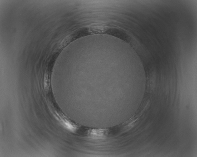 X0000078280134200611031218