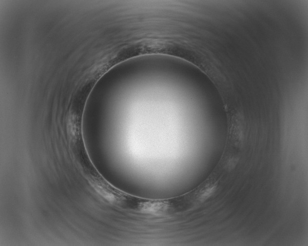 X0000078280135200611031218