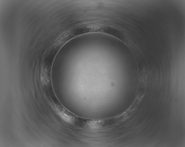 X0000078280136200611031218