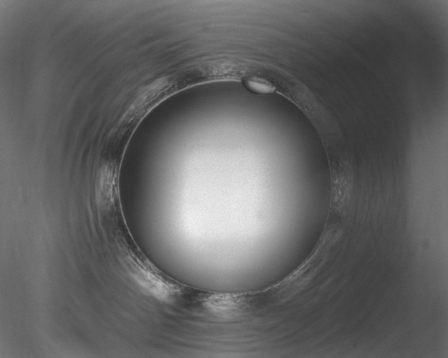 X0000078280142200611031218